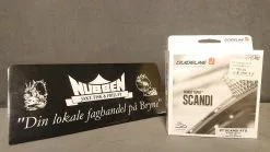 Guideline PT Scandi RTG