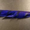 Lady Amherst Tail Feather