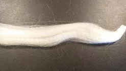 Unique Hair, Polar Bear