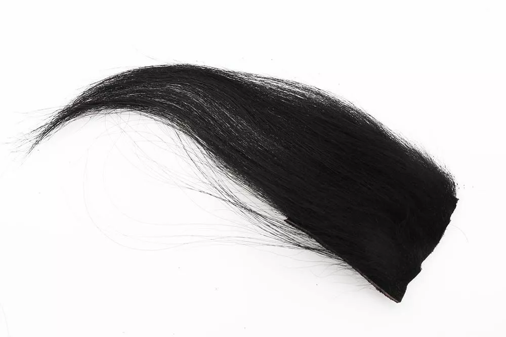 Almost Monkey 1 Almost Monkey