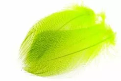 Mallard Duck Flank # L